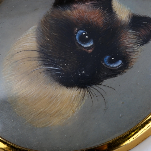 1750 - Barbara Tate (born 1927), miniature oil on board, Persian cat, signed, 7cm x 5.5cm