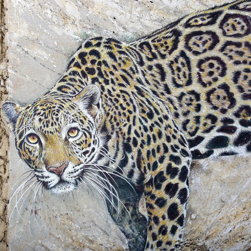 1774 - Francois Legrand, large mixed media on board, leopard, signed, in textured composition surround and ... 