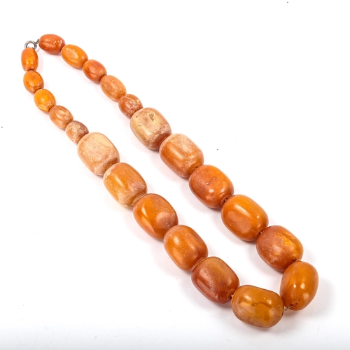 237 - A single-strand graduated butterscotch amber bead necklace, beads ranging from 18mm - 31.1mm, neckla... 