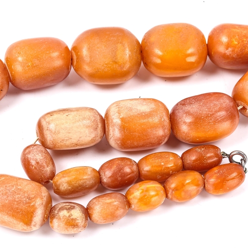 237 - A single-strand graduated butterscotch amber bead necklace, beads ranging from 18mm - 31.1mm, neckla... 