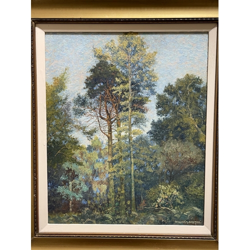 1562 - William Baxter, oil on board, tree study, original label verso, 40cm x 33cm, framed