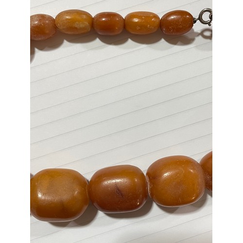 237 - A single-strand graduated butterscotch amber bead necklace, beads ranging from 18mm - 31.1mm, neckla... 