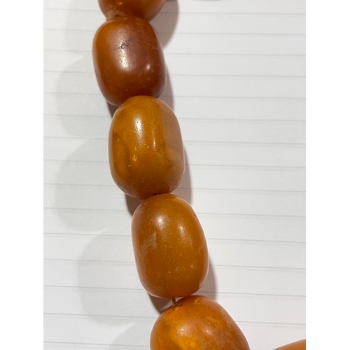 237 - A single-strand graduated butterscotch amber bead necklace, beads ranging from 18mm - 31.1mm, neckla... 