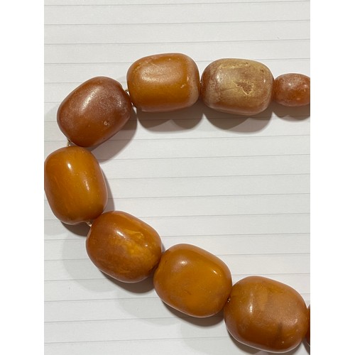 237 - A single-strand graduated butterscotch amber bead necklace, beads ranging from 18mm - 31.1mm, neckla... 