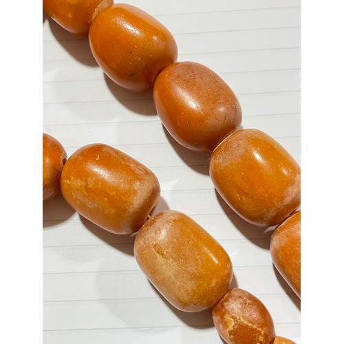 237 - A single-strand graduated butterscotch amber bead necklace, beads ranging from 18mm - 31.1mm, neckla... 