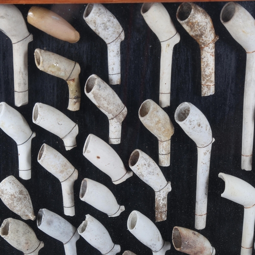 122 - A cabinet display of Antique clay pipes, 90cm x 46cm