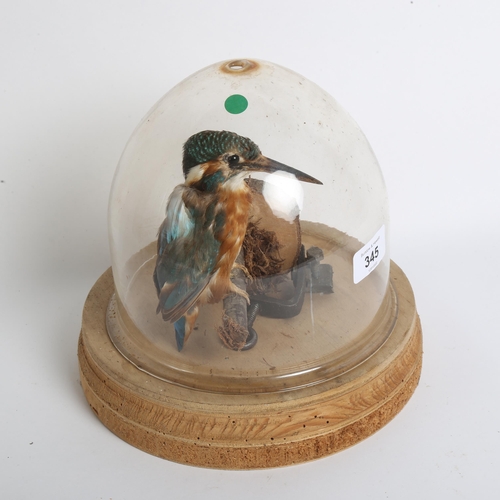 345 - TAXIDERMY - a kingfisher, on assembled branch base with glass dome, overall height 20cm