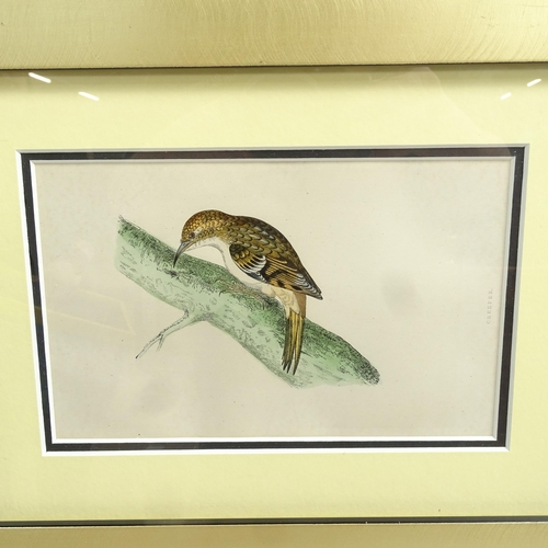 1328 - A set of 10 contemporary hand coloured ornithological prints, all framed, overall 35cm x 26cm (10)