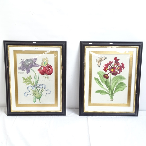 1343 - A set of 4 hand coloured botanical prints, framed