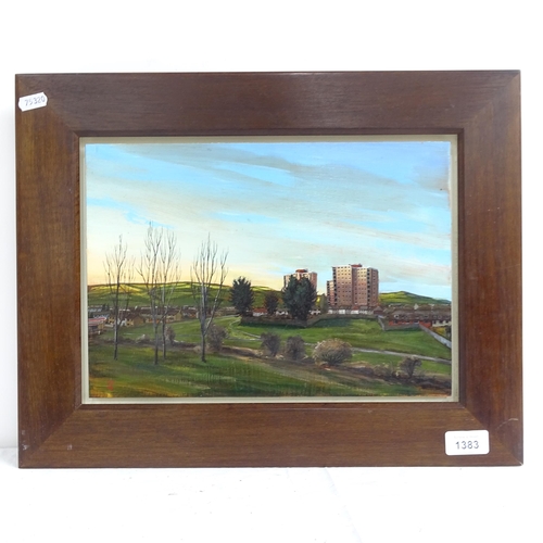 1383 - An oil on panel, town view with buildings, signed with monogram JP dated '98, framed, overall 36cm x... 