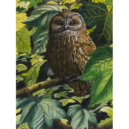 2026 - John Tennent, watercolour tawny owl, 37cm x 28cm, and a limited edition print by the same hand, fram... 