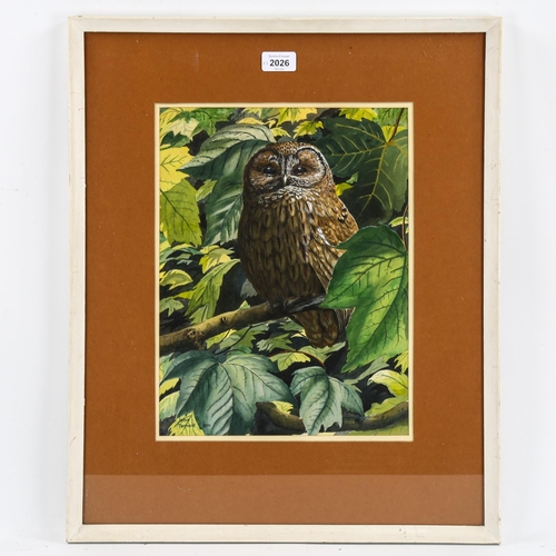 2026 - John Tennent, watercolour tawny owl, 37cm x 28cm, and a limited edition print by the same hand, fram... 