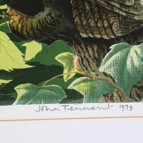 2026 - John Tennent, watercolour tawny owl, 37cm x 28cm, and a limited edition print by the same hand, fram... 