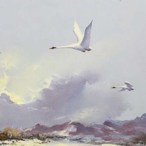 2027 - Howard Devonald, pair of oils on canvas, birds in flight, signed, 35cm x 46cm, framed