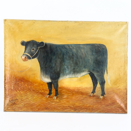 2034 - Henry Wilson, oil on canvas, naive portrait of blue-grey bullock, signed and dated 1913, 50cm x 68cm... 