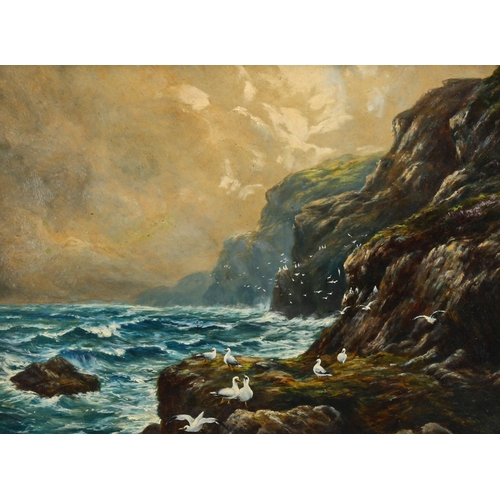 2066 - 19th/20th century oil on board, rocky coastal view, unsigned, 26cm x 35cm, framed