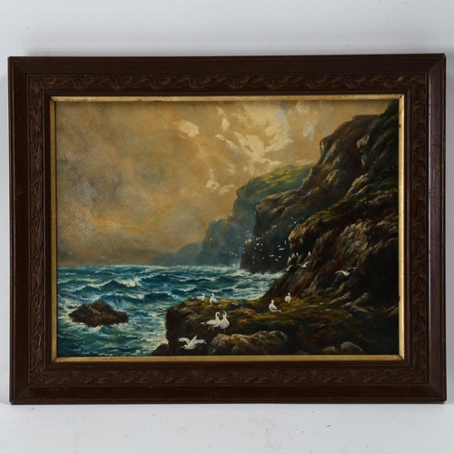 2066 - 19th/20th century oil on board, rocky coastal view, unsigned, 26cm x 35cm, framed