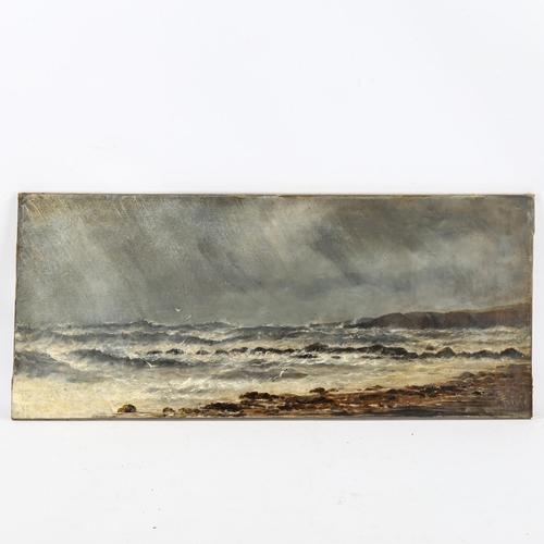 2076 - 19th century oil on canvas, rough seas on the coast, signed, with monogram, dated 1880, 33cm x 76cm,... 