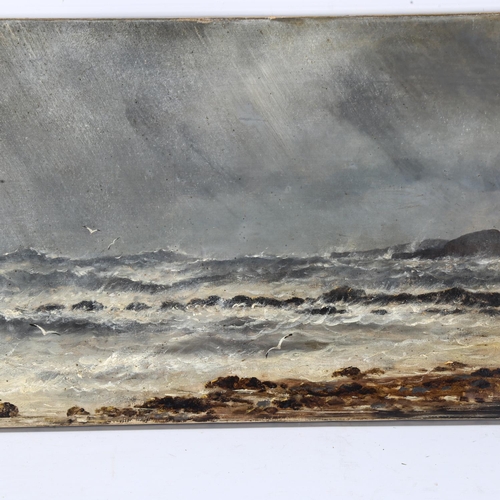 2076 - 19th century oil on canvas, rough seas on the coast, signed, with monogram, dated 1880, 33cm x 76cm,... 