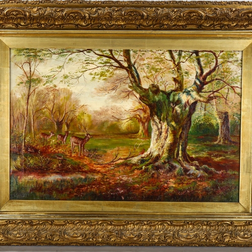 2087 - Maria Elizabeth Williams (1880 - 1938), oil on canvas, deer in woodland, 40cm x 60cm, framed