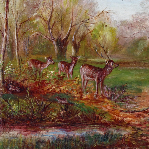 2087 - Maria Elizabeth Williams (1880 - 1938), oil on canvas, deer in woodland, 40cm x 60cm, framed