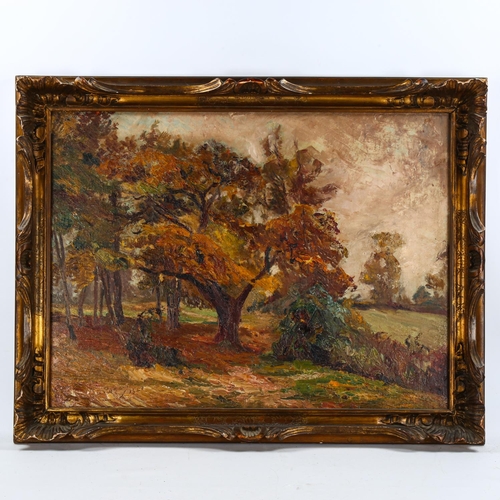 2092 - Andre Preugent (1882 - 1965), oil on board, wooded landscape, signed, 60cm x 80cm, framed