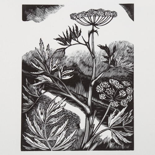 2109 - John Nash (1893-1977), limited edition wood engraving on paper, Water Hemlock (1927), 15.5cm x 11.5c... 