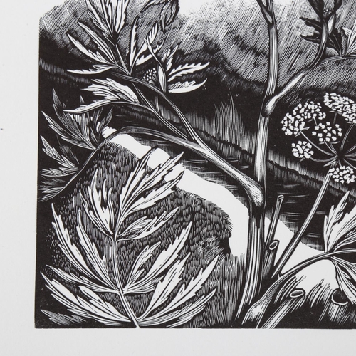 2109 - John Nash (1893-1977), limited edition wood engraving on paper, Water Hemlock (1927), 15.5cm x 11.5c... 