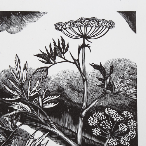 2109 - John Nash (1893-1977), limited edition wood engraving on paper, Water Hemlock (1927), 15.5cm x 11.5c... 