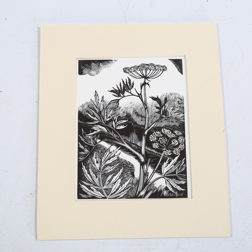 2109 - John Nash (1893-1977), limited edition wood engraving on paper, Water Hemlock (1927), 15.5cm x 11.5c... 