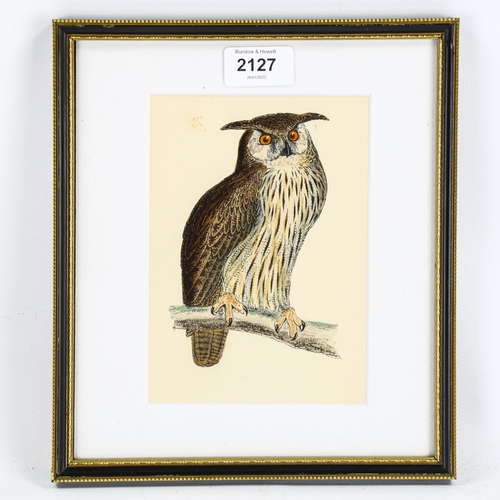 2127 - Francis Orpen Morris (1810-1893), hand-coloured engraving on paper, Eagle Owl, from Morris’s British... 