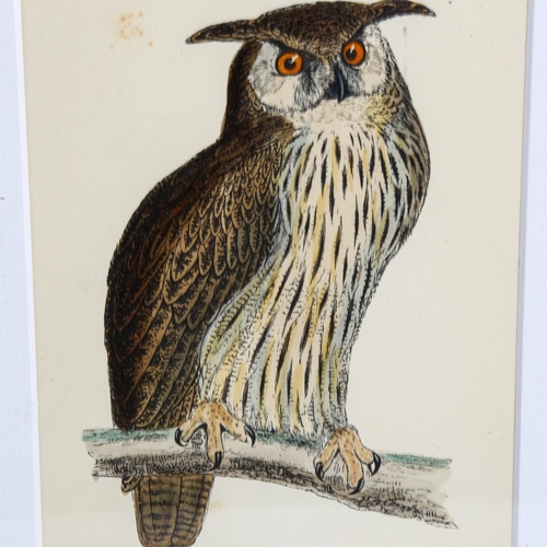 2127 - Francis Orpen Morris (1810-1893), hand-coloured engraving on paper, Eagle Owl, from Morris’s British... 