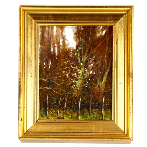 2141 - Paul Gaisford, oil on board, woodland scene, 9.5