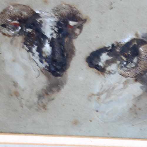 2148 - Early 19th century watercolour sketch, study of ram's heads, unsigned, 14cm x 17cm, framed