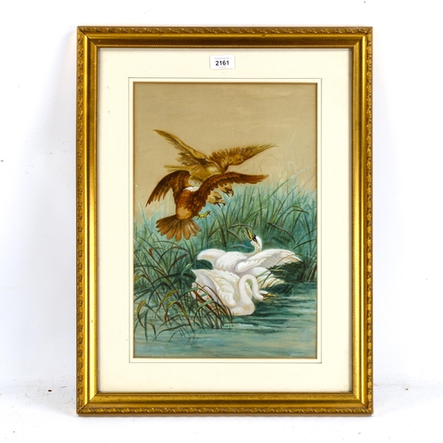 2161 - 19th century watercolour, eagles and swans, unsigned, 44cm x 29cm, framed