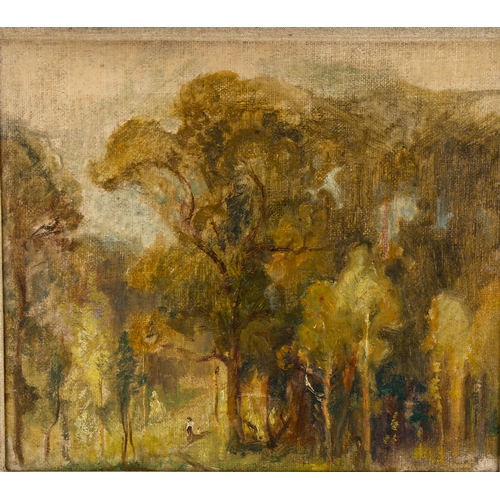 2264 - Early 20th century French School, oil on canvas, woodland clearing, unsigned, 35cm x 40cm, framed