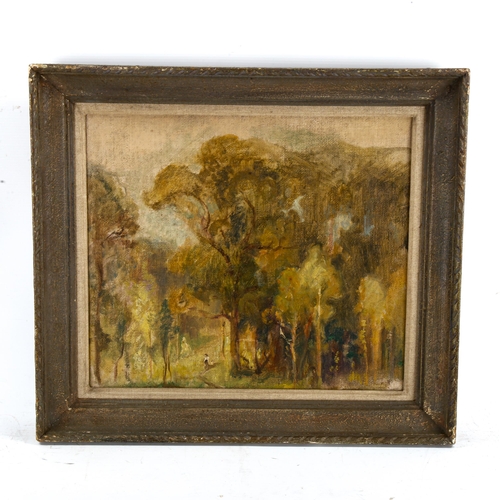 2264 - Early 20th century French School, oil on canvas, woodland clearing, unsigned, 35cm x 40cm, framed