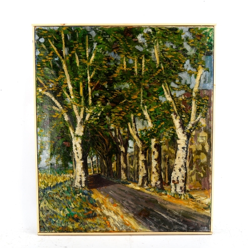 2271 - Mid-20th century French School, oil on canvas, avenue of trees, unsigned, 65cm x 55cm, framed