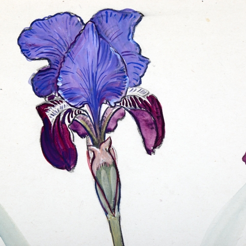 2213 - Walter Taylor (1860 - 1943), watercolour, irises, signed and dated 1904, 53cm x 37cm, mounted