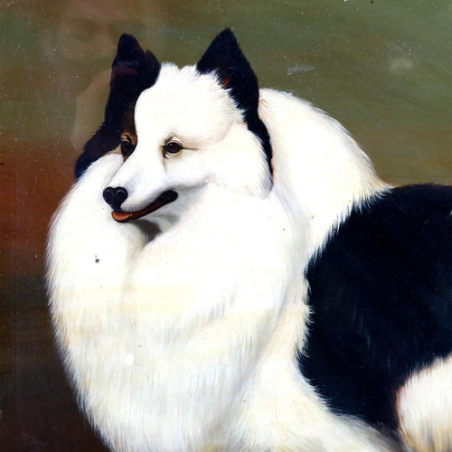 2218 - 20th century British School, after the Antique, oil on board, portrait of a dog, unsigned, 50cm x 60... 