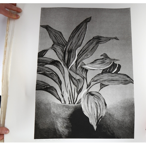 161 - Matt Basis (born 1933), 14 etchings, botanical studies, all signed in pencil, plate 52cm x 37cm, unf... 