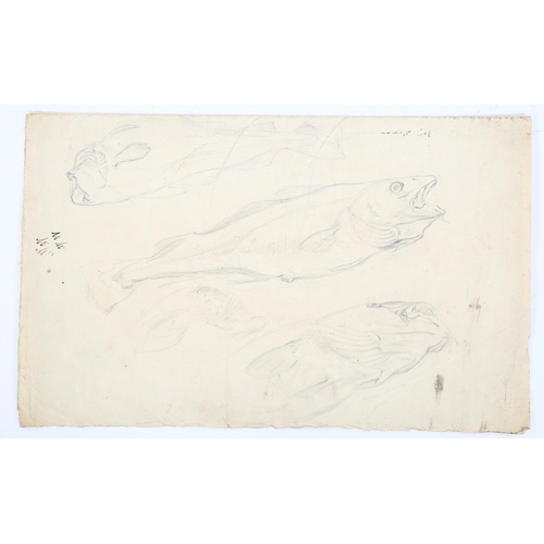 197 - William Dixon (1774 - 1827), sheet of pencil sketches, studies of fish, circa 1800, signed, sheet si... 