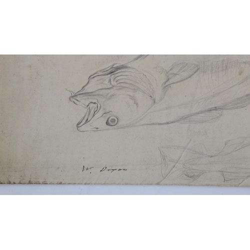 197 - William Dixon (1774 - 1827), sheet of pencil sketches, studies of fish, circa 1800, signed, sheet si... 