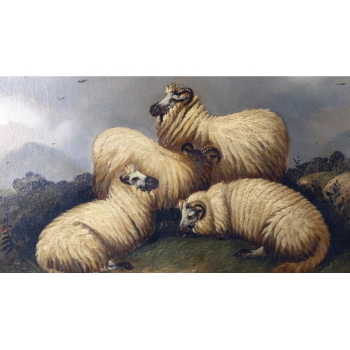 22 - 19th century English School, large oil on canvas in the manner of Thomas Sidney Cooper, sheep on a s... 