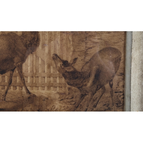 228 - 19th century sepia ink and wash on paper, study of 3 deer by a gate, unsigned, 33cm x 50cm, framed