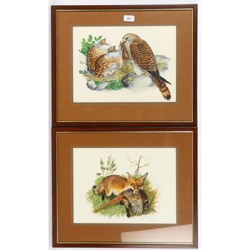 261 - Kenneth Smith, pair of watercolours, birds of prey, and fox with a pheasant, signed, 29cm x 37cm, fr... 