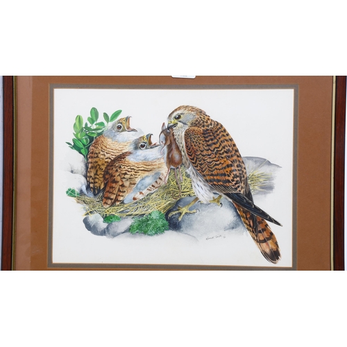 261 - Kenneth Smith, pair of watercolours, birds of prey, and fox with a pheasant, signed, 29cm x 37cm, fr... 