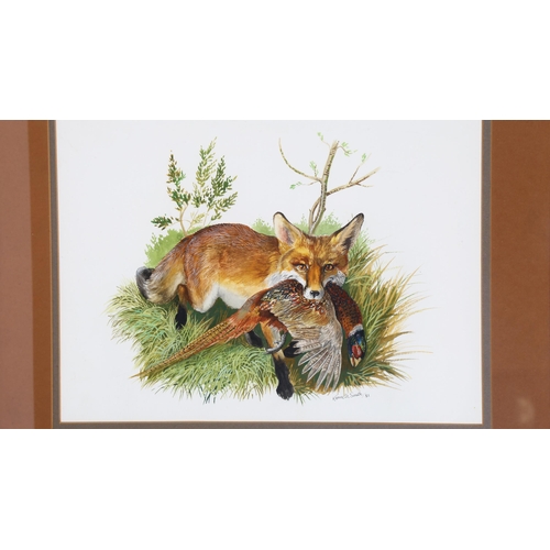 261 - Kenneth Smith, pair of watercolours, birds of prey, and fox with a pheasant, signed, 29cm x 37cm, fr... 