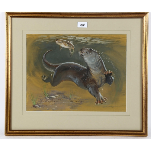 262 - Kenneth Smith, watercolour, otter and fish, signed and dated 1980, 30cm x 39cm, framed