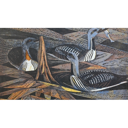 272 - **DESCRIPTION CHANGE** *J T A Osborne*, colour screenprint, red and black throated divers, *inscript... 